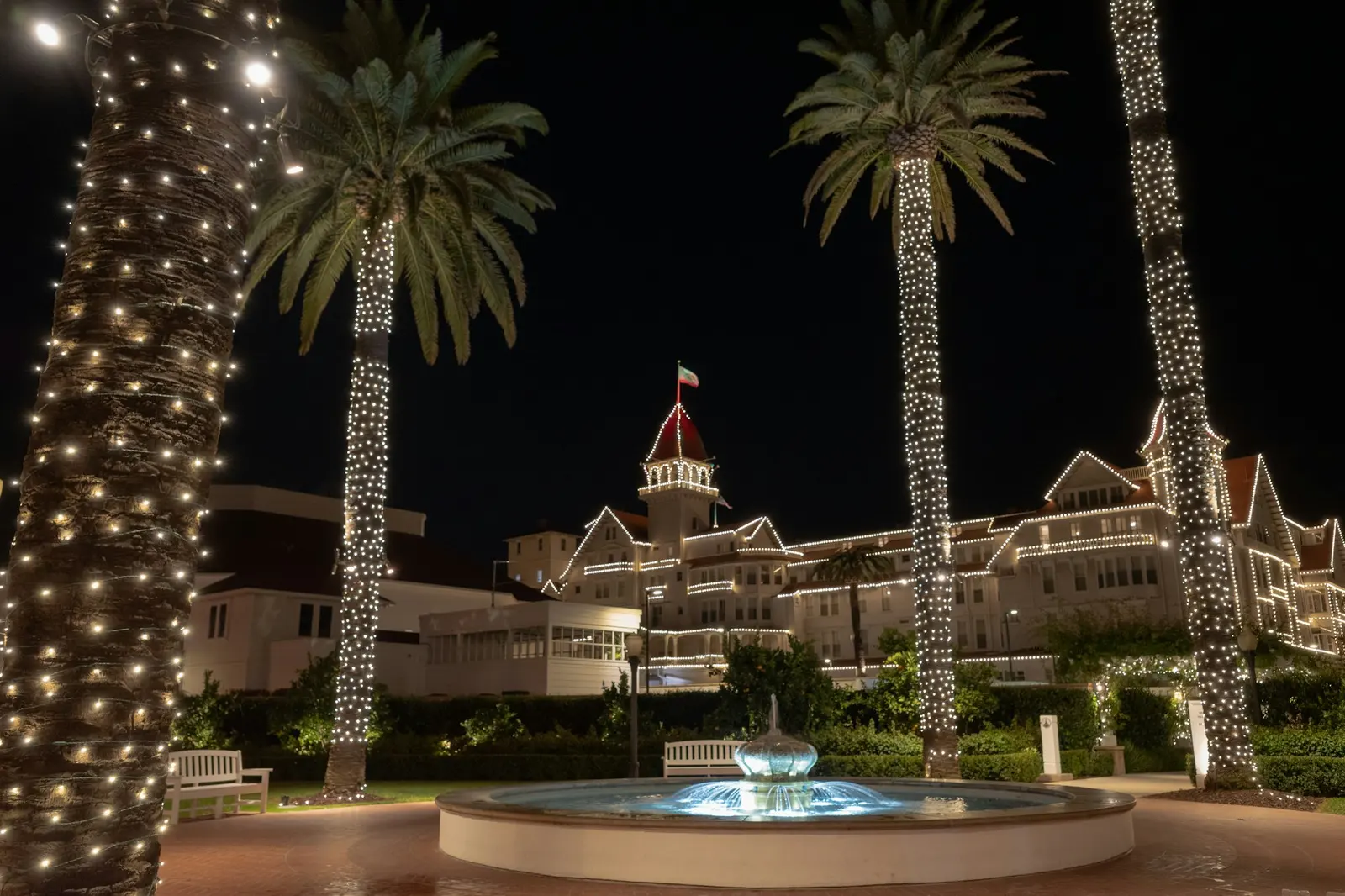 Hotel del Coronado with palms and pool